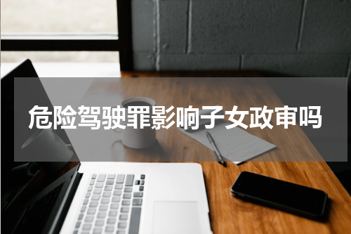 危险驾驶罪影响子女政审吗