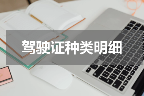 驾驶证种类明细