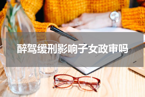 醉驾缓刑影响子女政审吗