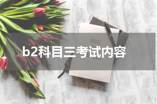 b2科目三考试内容