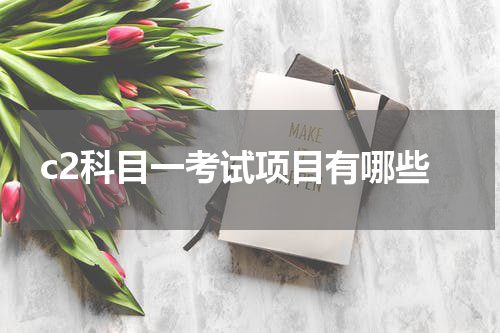 c2科目一考试项目有哪些