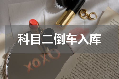 科目二倒车入库