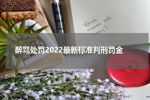 醉驾处罚2022最新标准判刑罚金