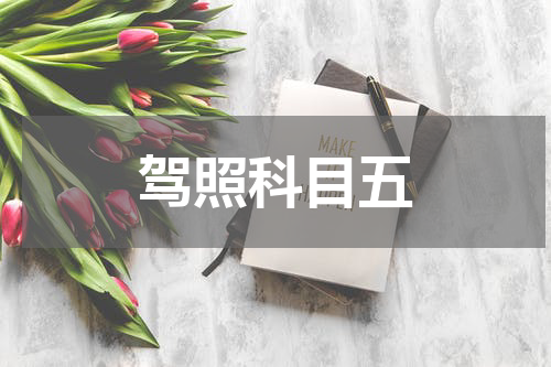 驾照科目五