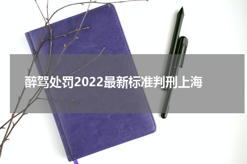 醉驾处罚2022最新标准判刑上海