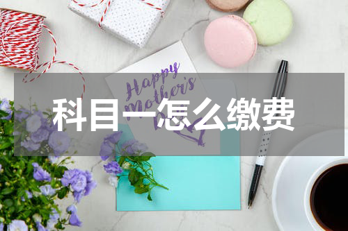 科目一怎么缴费