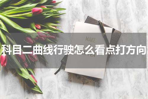 科目二曲线行驶怎么看点打方向