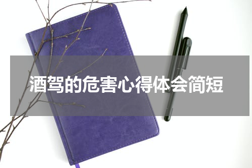 酒驾的危害心得体会简短