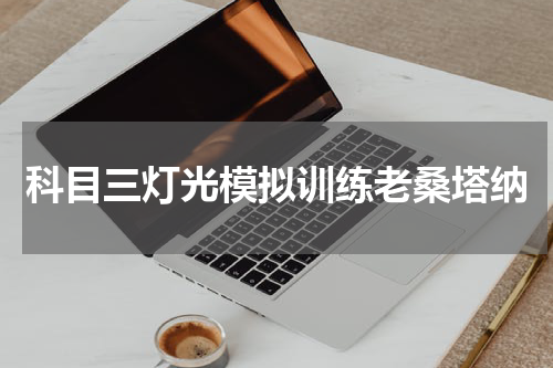 科目三灯光模拟训练老桑塔纳