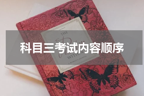 科目三考试内容顺序