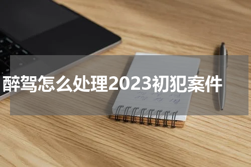 醉驾怎么处理2023初犯案件