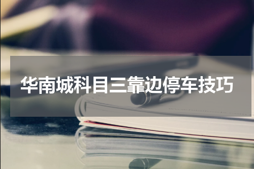 华南城科目三靠边停车技巧