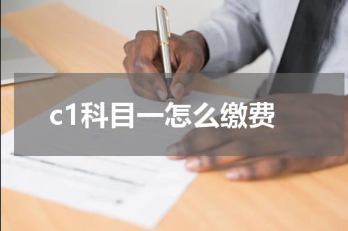 c1科目一怎么缴费