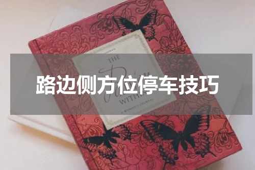 路边侧方位停车技巧