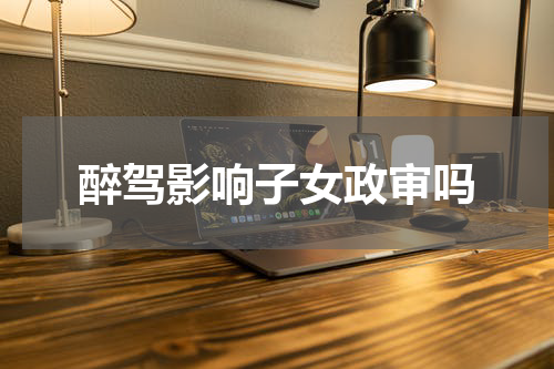 醉驾影响子女政审吗