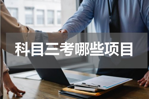 科目三考哪些项目