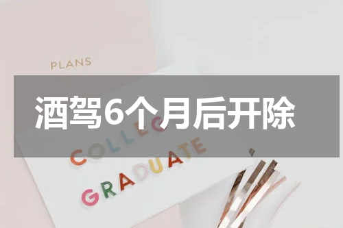 酒驾6个月后开除
