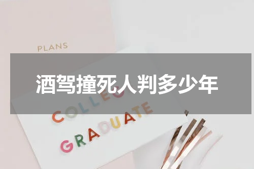 酒驾撞死人判多少年