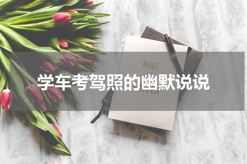 学车考驾照的幽默说说