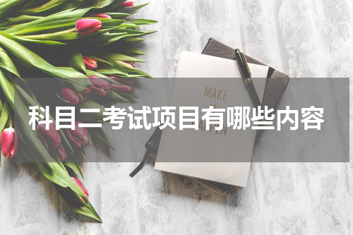 科目二考试项目有哪些内容
