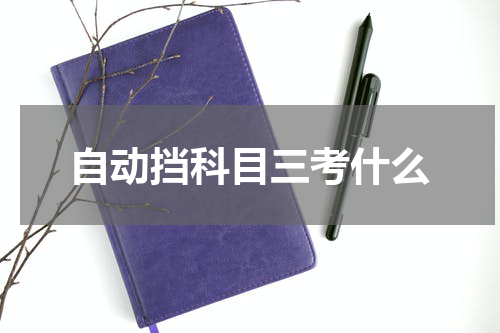 自动挡科目三考什么