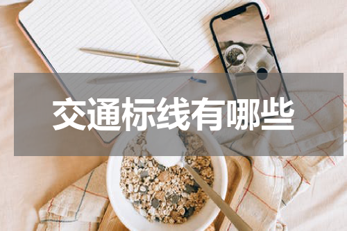 交通标线有哪些