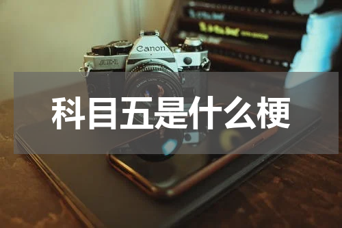 科目五是什么梗
