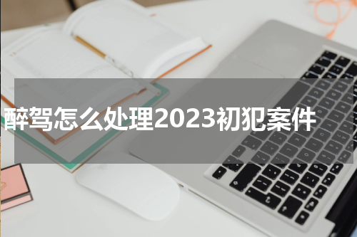醉驾怎么处理2023初犯案件