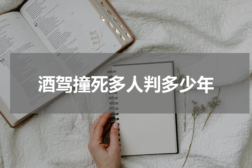 酒驾撞死多人判多少年