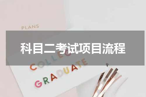 科目二考试项目流程