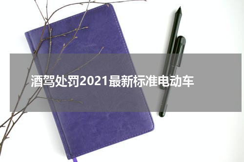 酒驾处罚2021最新标准电动车