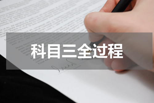 科目三全过程