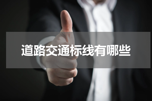 道路交通标线有哪些