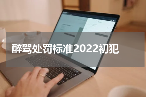 醉驾处罚标准2022初犯