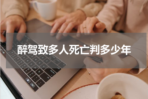 醉驾致多人死亡判多少年
