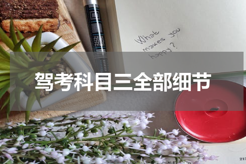 驾考科目三全部细节