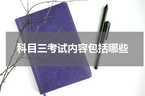 科目三考试内容包括哪些