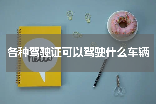 各种驾驶证可以驾驶什么车辆