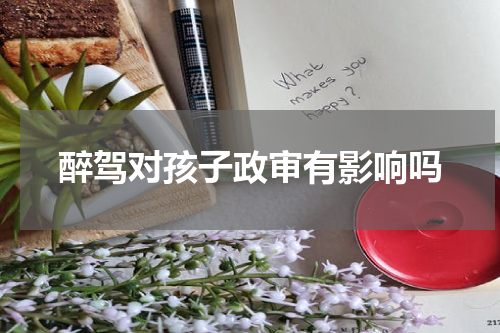 醉驾对孩子政审有影响吗