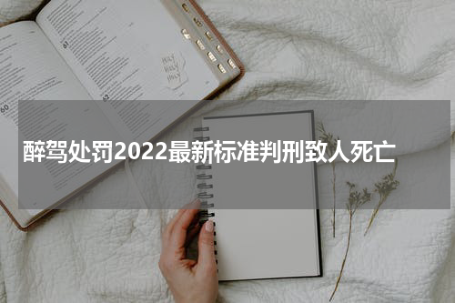 醉驾处罚2022最新标准判刑致人死亡