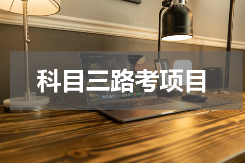 科目三路考项目