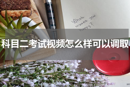 科目二考试视频怎么样可以调取