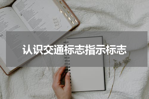 认识交通标志指示标志