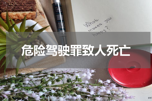危险驾驶罪致人死亡