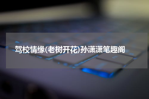 驾校情缘(老树开花)孙潇潇笔趣阁