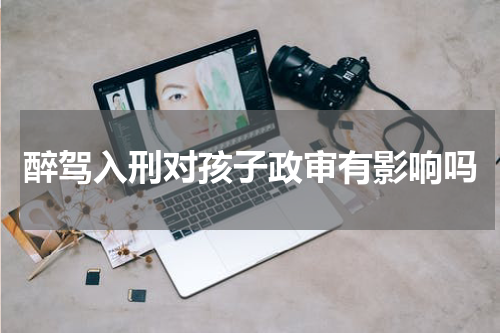 醉驾入刑对孩子政审有影响吗