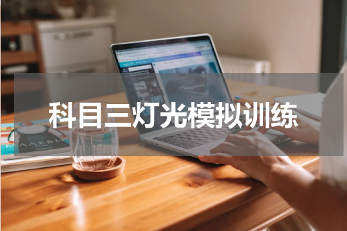 科目三灯光模拟训练