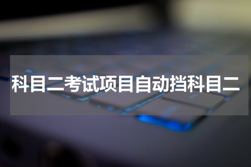 科目二考试项目自动挡科目二