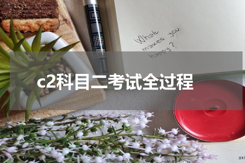 c2科目二考试全过程