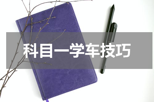 科目一学车技巧